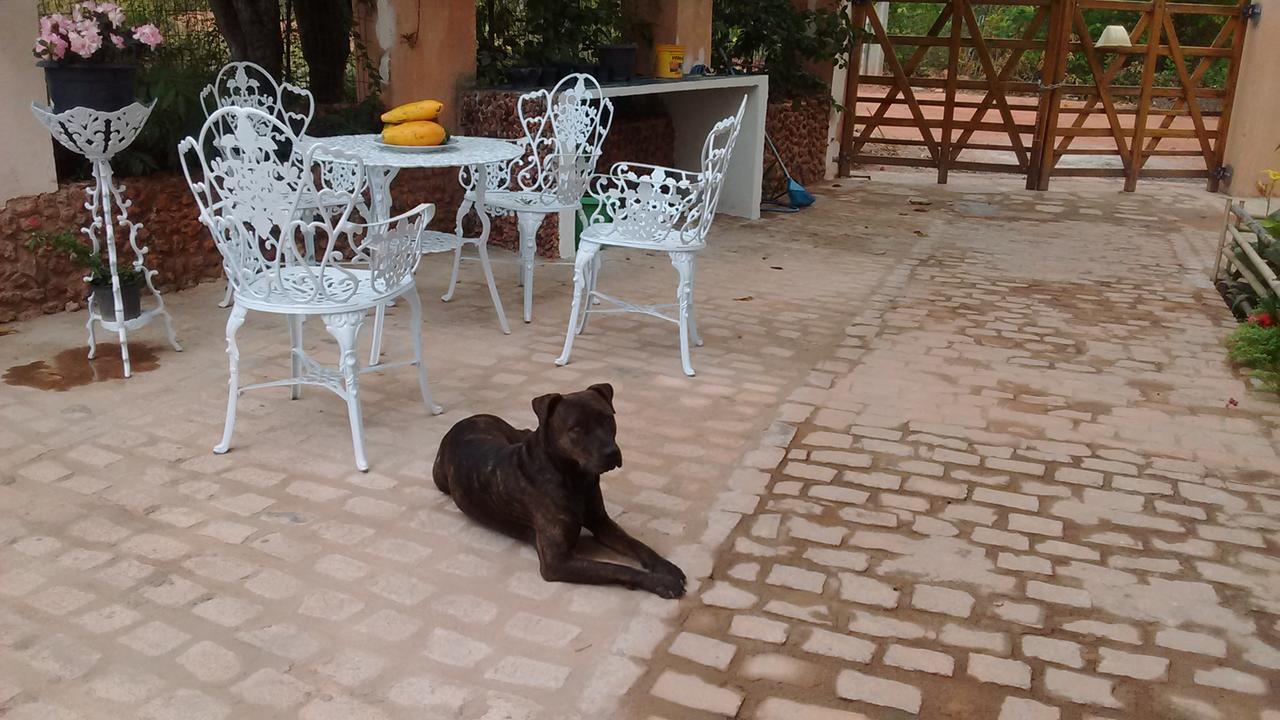 مبيت وإفطار Beija- Flor De لينكويس المظهر الخارجي الصورة